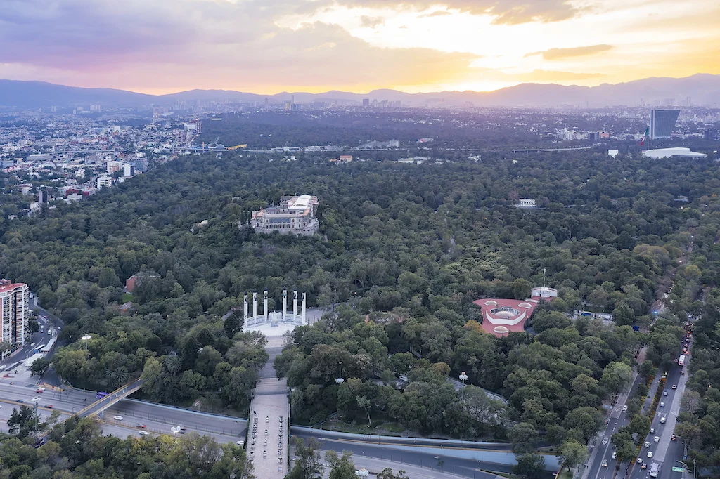 arboles en la ciudad de México,bosque de  chapultepec